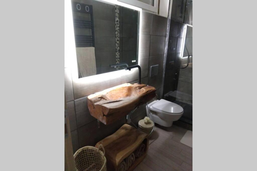 Chaleureux Petit Appartement De 4 Couchages Saint-Étienne-de-Tinée Dış mekan fotoğraf